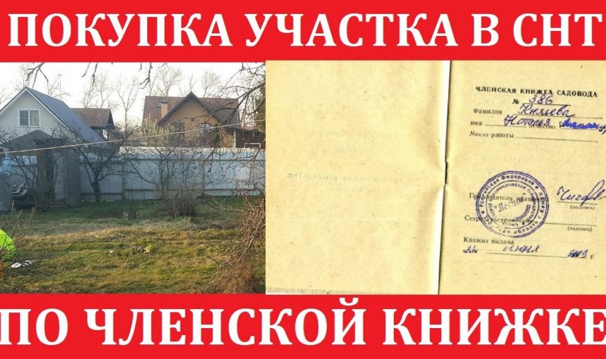 Продажа дачи в СНТ по садовой книжке — особенности и порядок действий